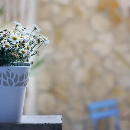 Appartement Blue Courtyard Not Valid Bari