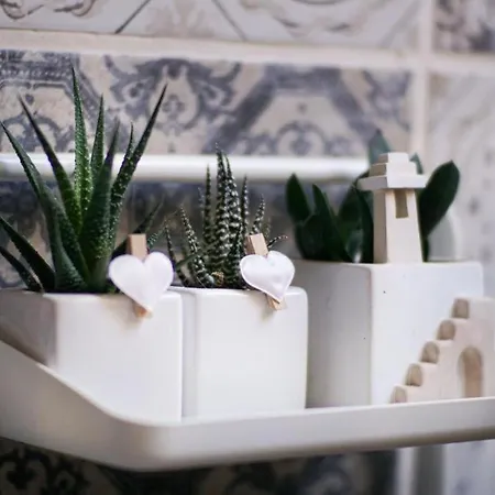 Blue Courtyard Not Valid *