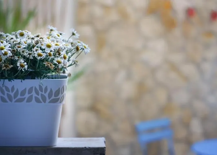 Apartment Blue Courtyard Not Valid Bari