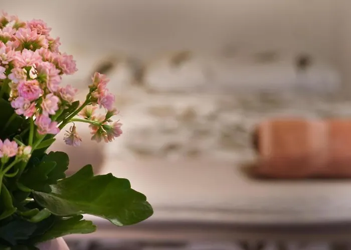 Blue Courtyard Not Valid Apartment