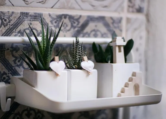 Blue Courtyard Not Valid *