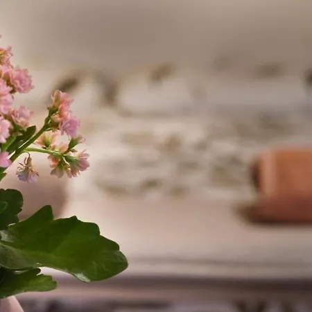 Blue Courtyard Not Valid شقة